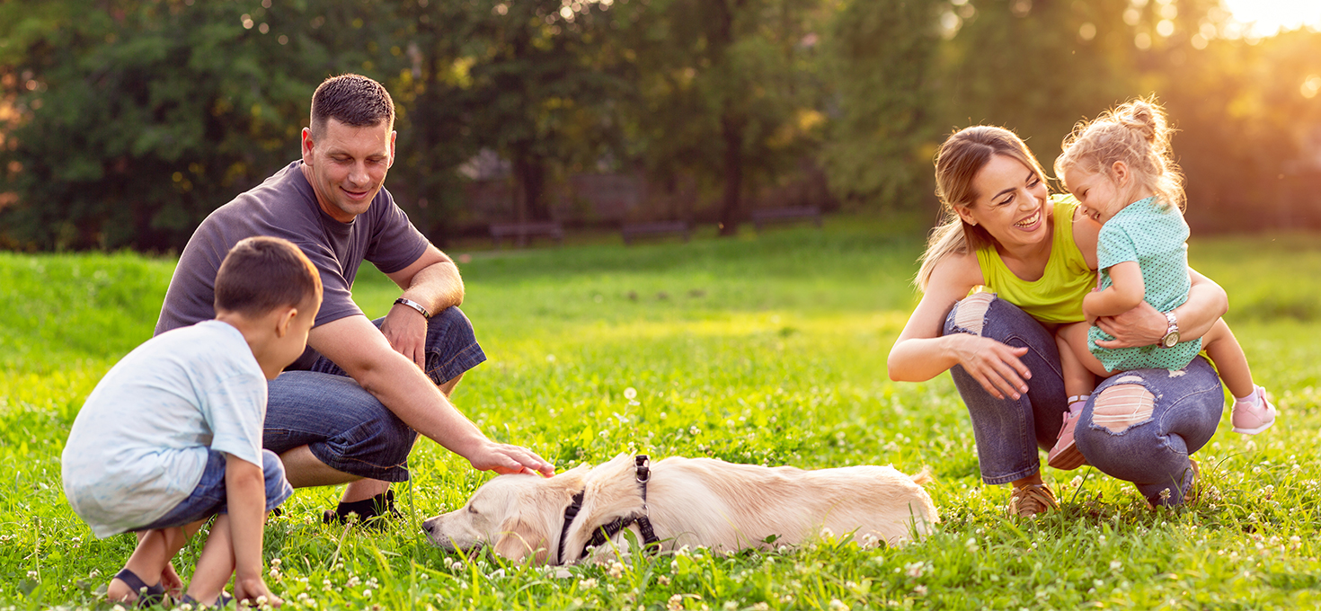 Young family in park